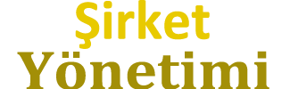 Şirket Web Site Paketi - Demo
